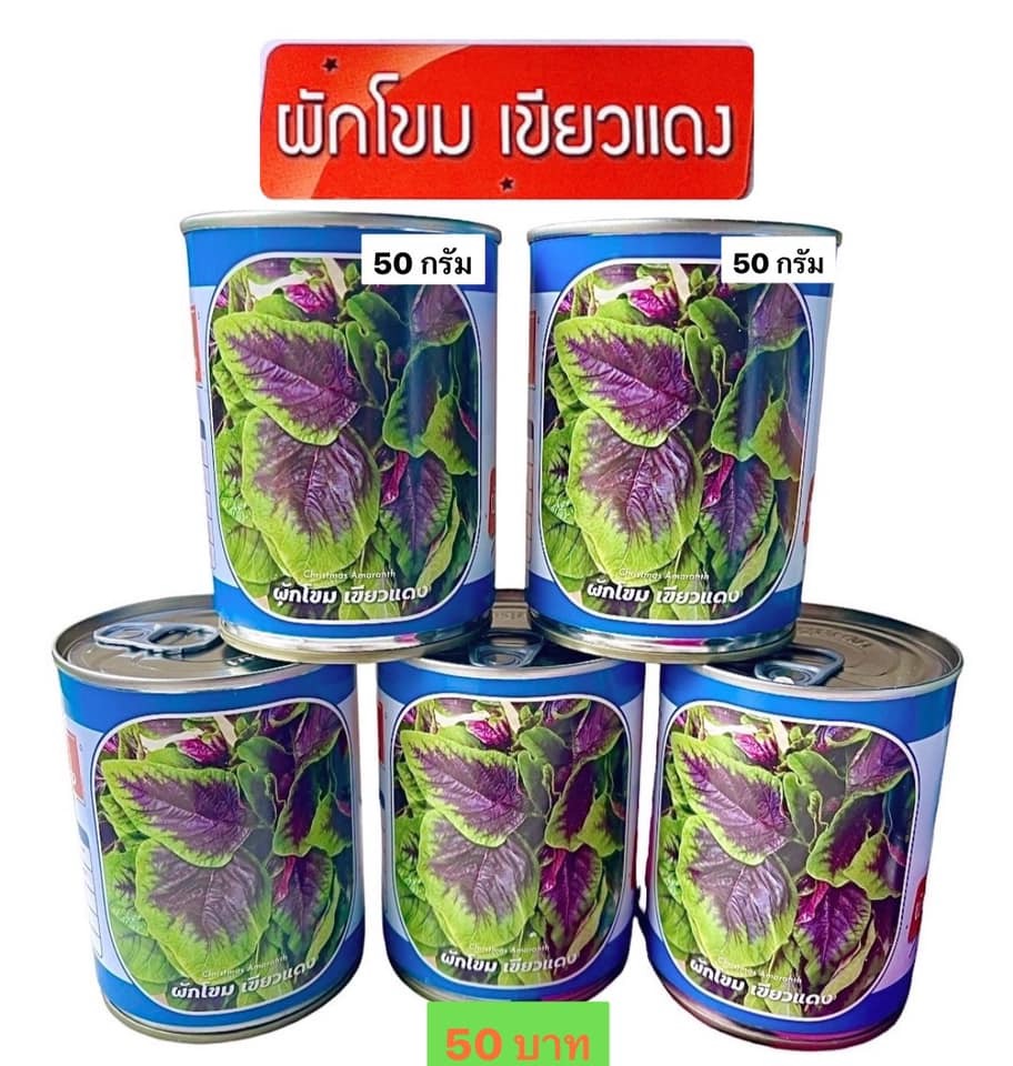 กระป๋อง ผักโขมแดงเขียว 50 กรัม