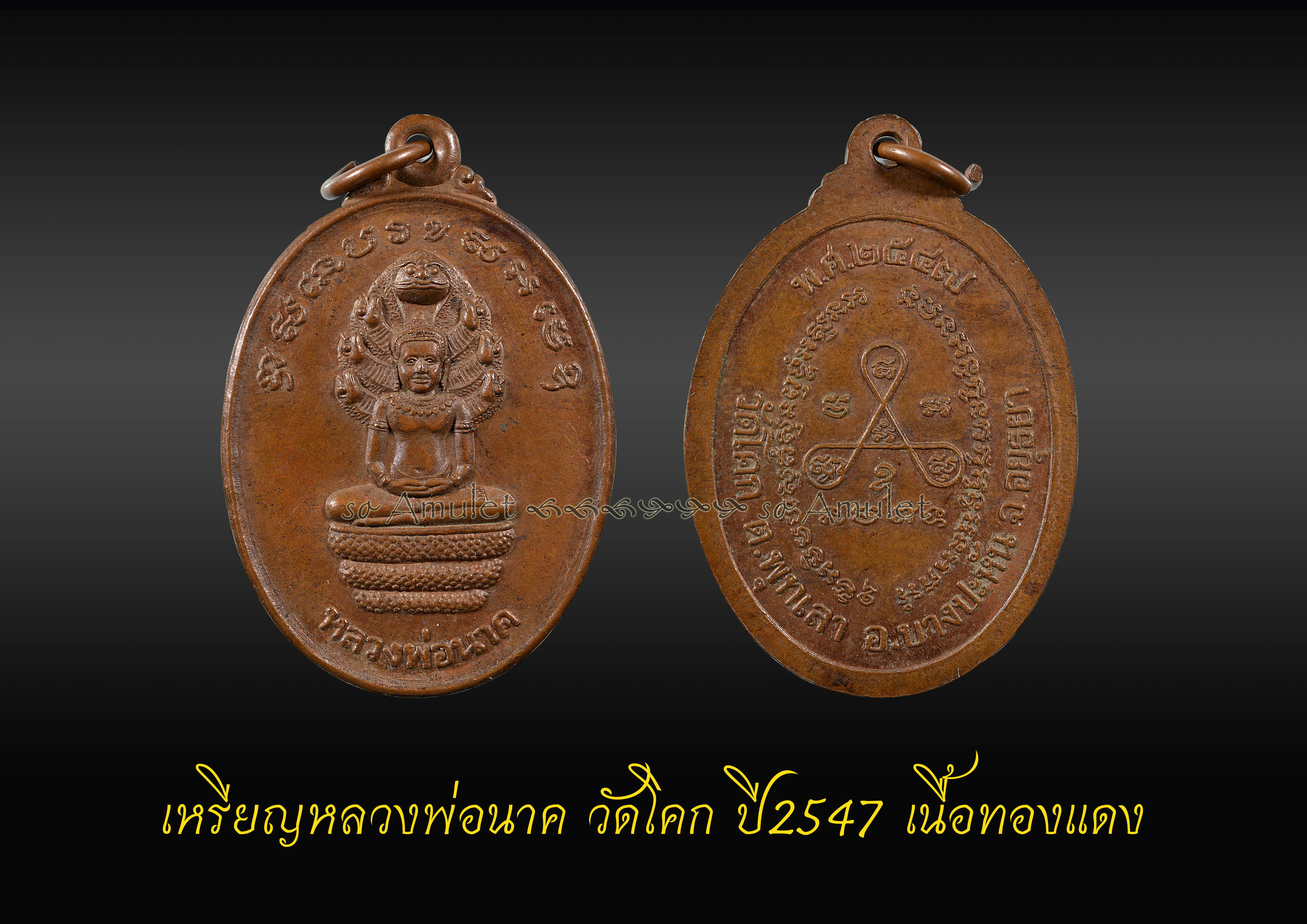 เหรียญหลวงพ่อนาค วัดโคก ปี2547 เนื้อทองแดง