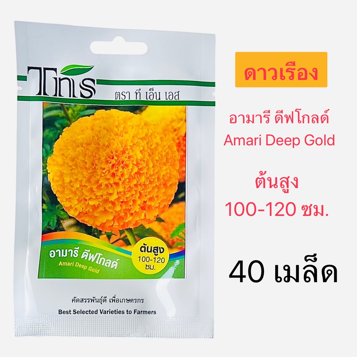 Tns เมล็ด ดาวเรือง อามารี ดีฟโกลด์ (40 เมล็ด)