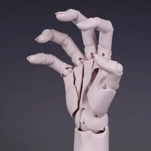 โมเดลมือขวาเหมือนจริง ขนาด1:1
