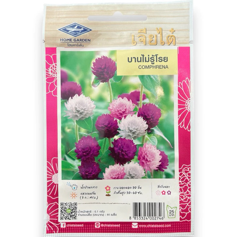 เมล็ดดอกไม้ บานไม่รู้โรย COMPHRENA (40 เมล็ด)