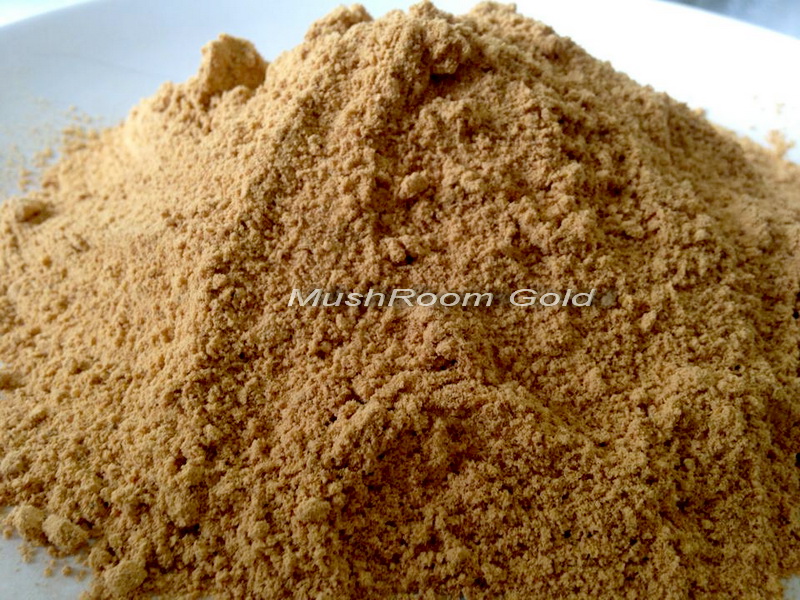 ผงเห็ดถั่งเช่าบดละเอียด 1 kg. ซื้อ 1 แถม 1 (ได้รับ 2 kg.)