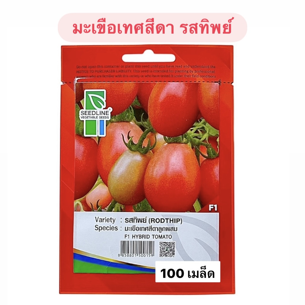 มะเขือเทศสีดา รสทิพย์ (100 เมล็ด)