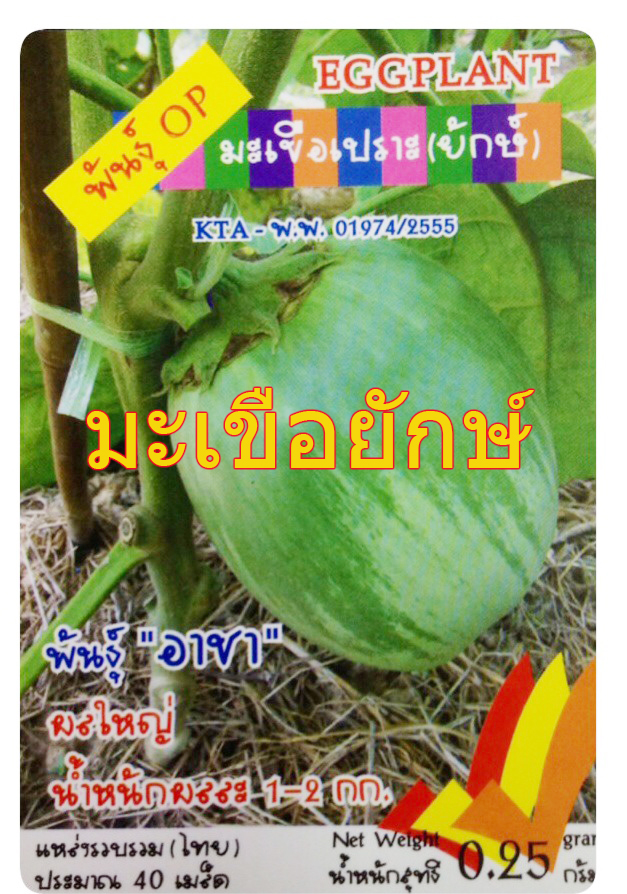 มะเขือยักษ์ (เท่าลูกมะพร้าว) 40เมล็ด