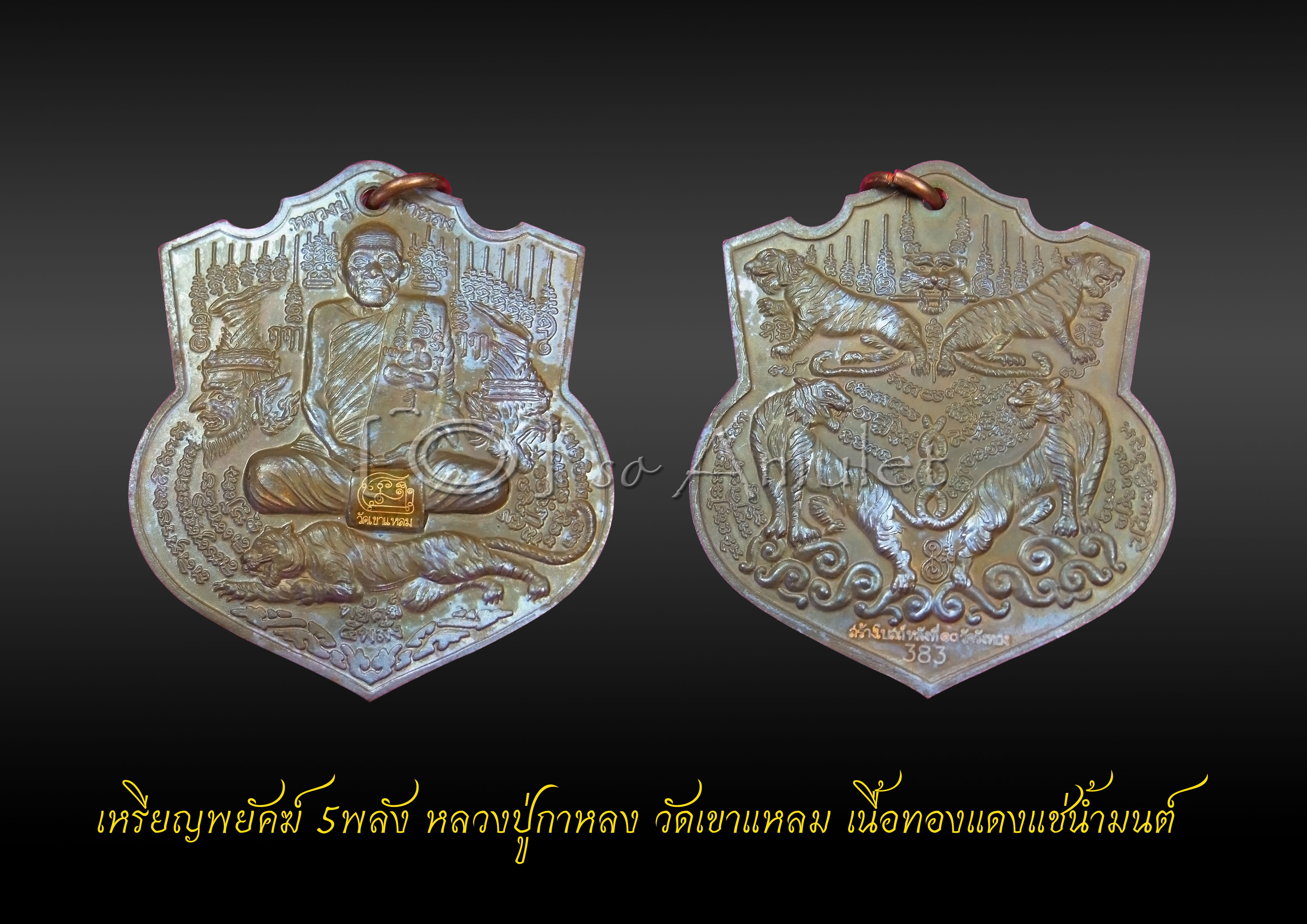 เหรียญพยัคฆ์ 5 พลัง หลวงปู่กาหลง วัดเขาแหลม เนื้อทองแดงแช่น้ำมนต์