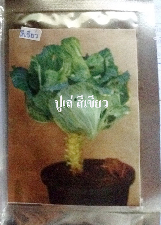 ปูเล่ สีเขียว (ประมาณ 100-150เมล็ด)