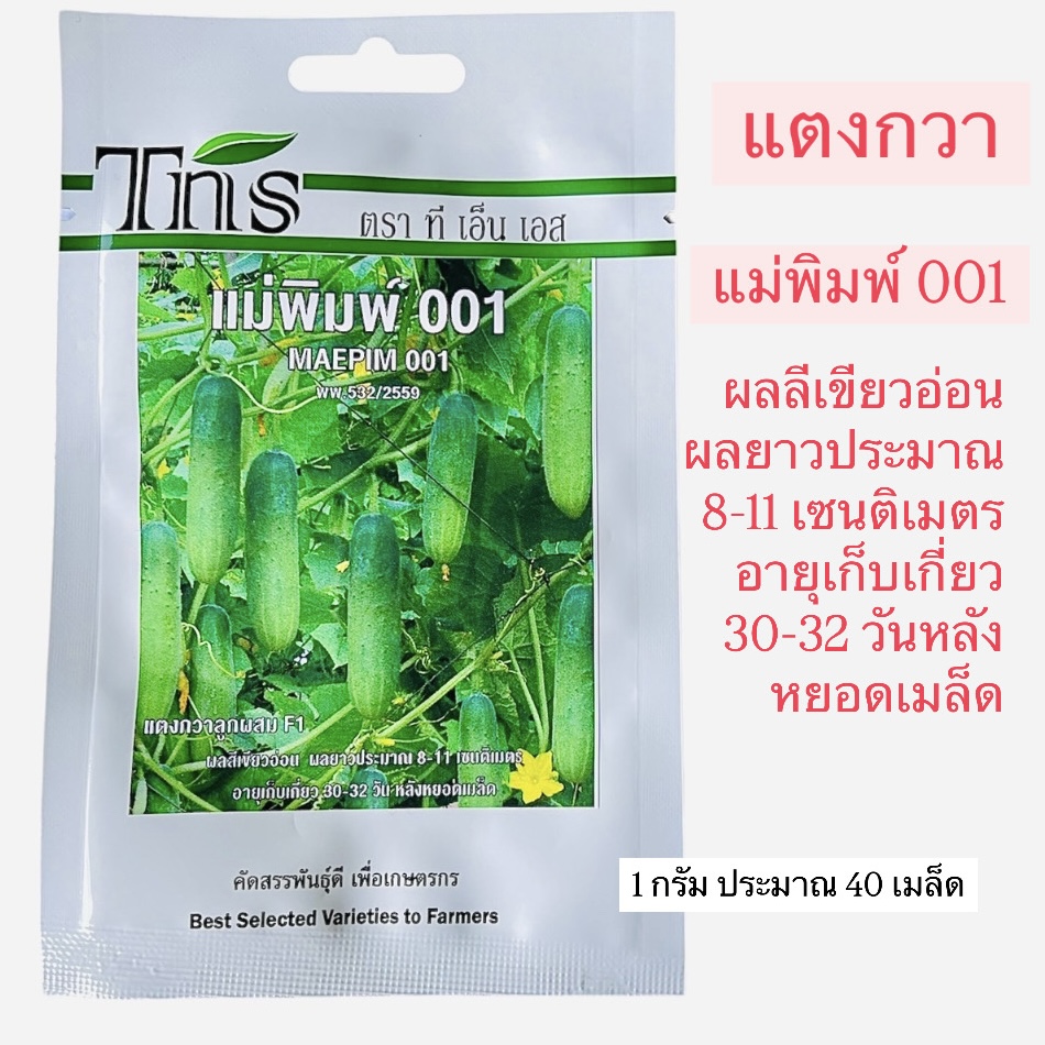 tns แตงกวา แม่พิมพ์ 001 ยาว 8-11 ซม. (1 กรัม ประมาณ 40 เมล็ด)