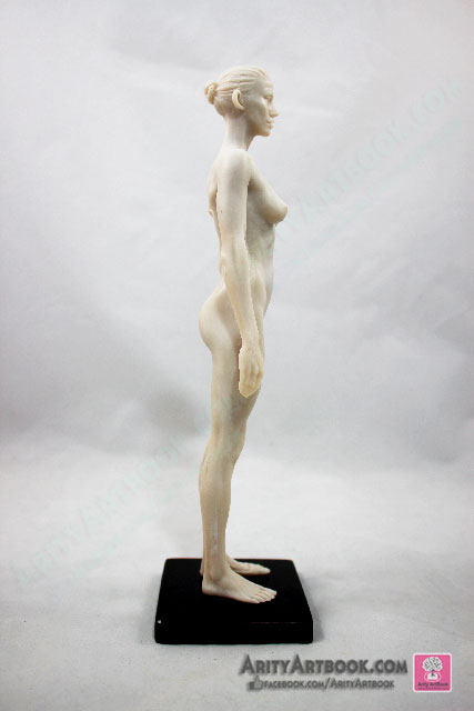 [ผู้หญิง] แบบจำลองร่างกายมนุษย์สูง30เซน (สีขาวครีม)