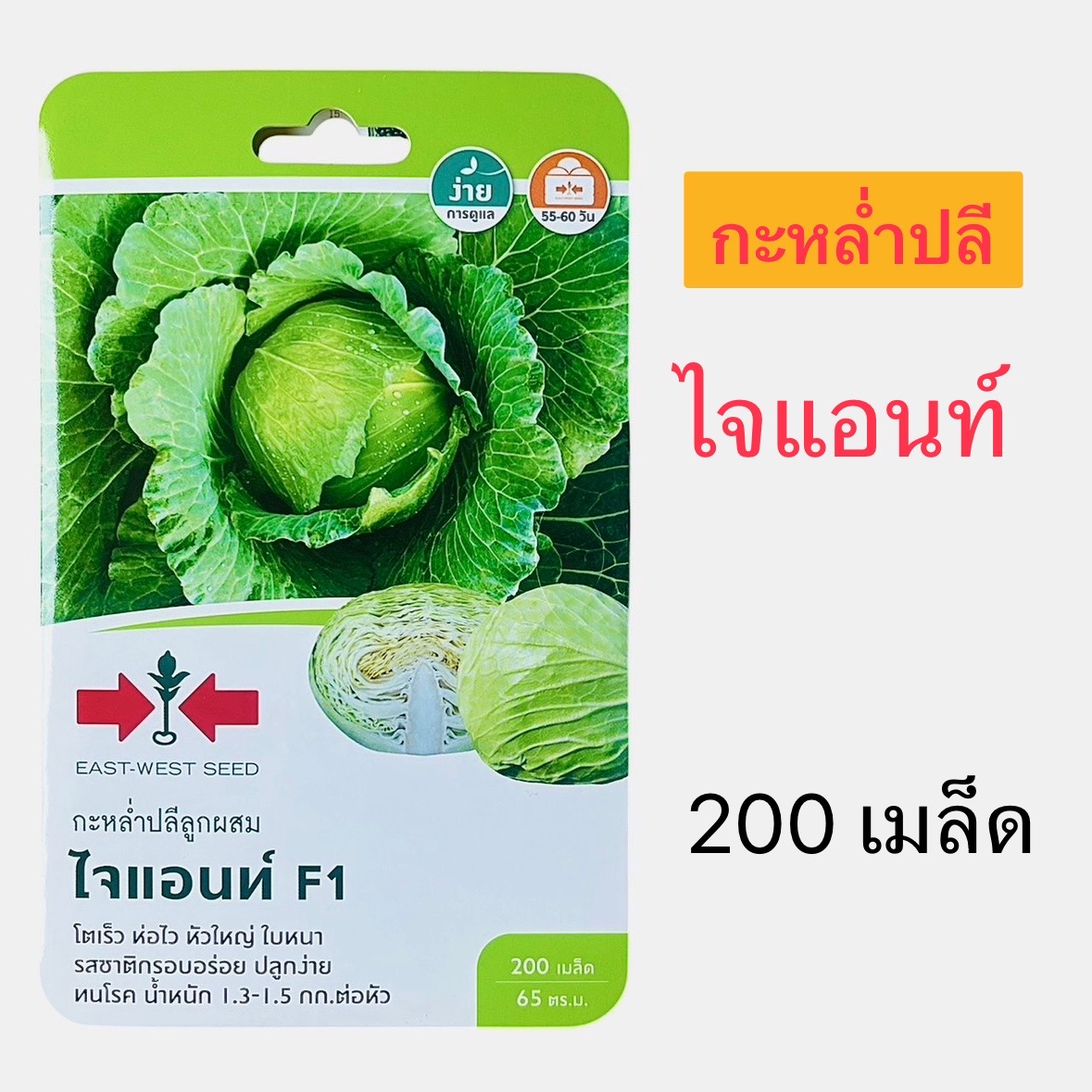 ศรแดง กะหล่ำปลี ไจแอนท์ ( 200 เมล็ด)