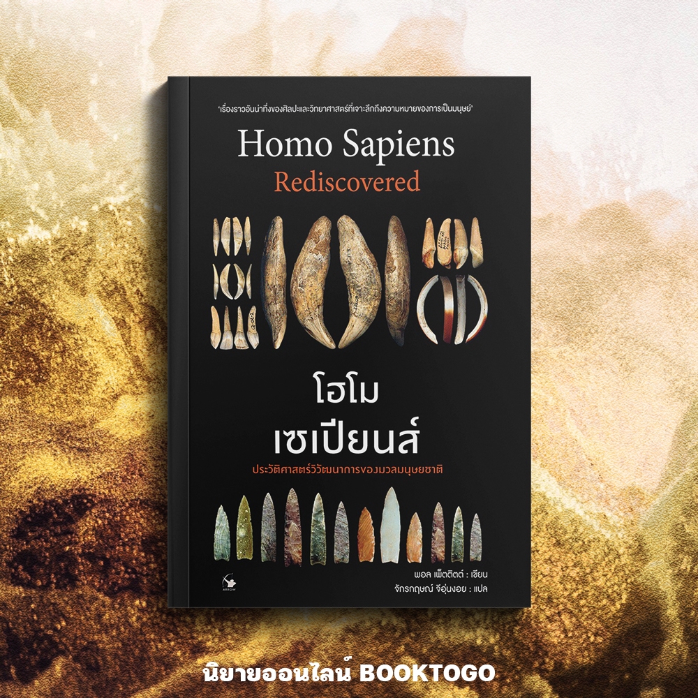 (พร้อมส่ง) โฮโม เซเปียนส์ Homo Sapiens Rediscovered พอล เพ็ตติตต์ ARROW