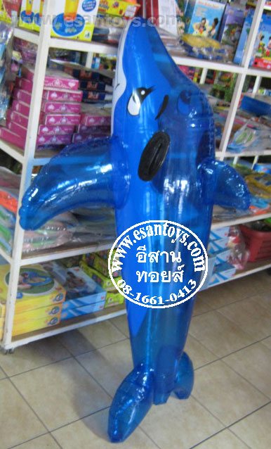 วาฬเป่าลมลอยน้ำ