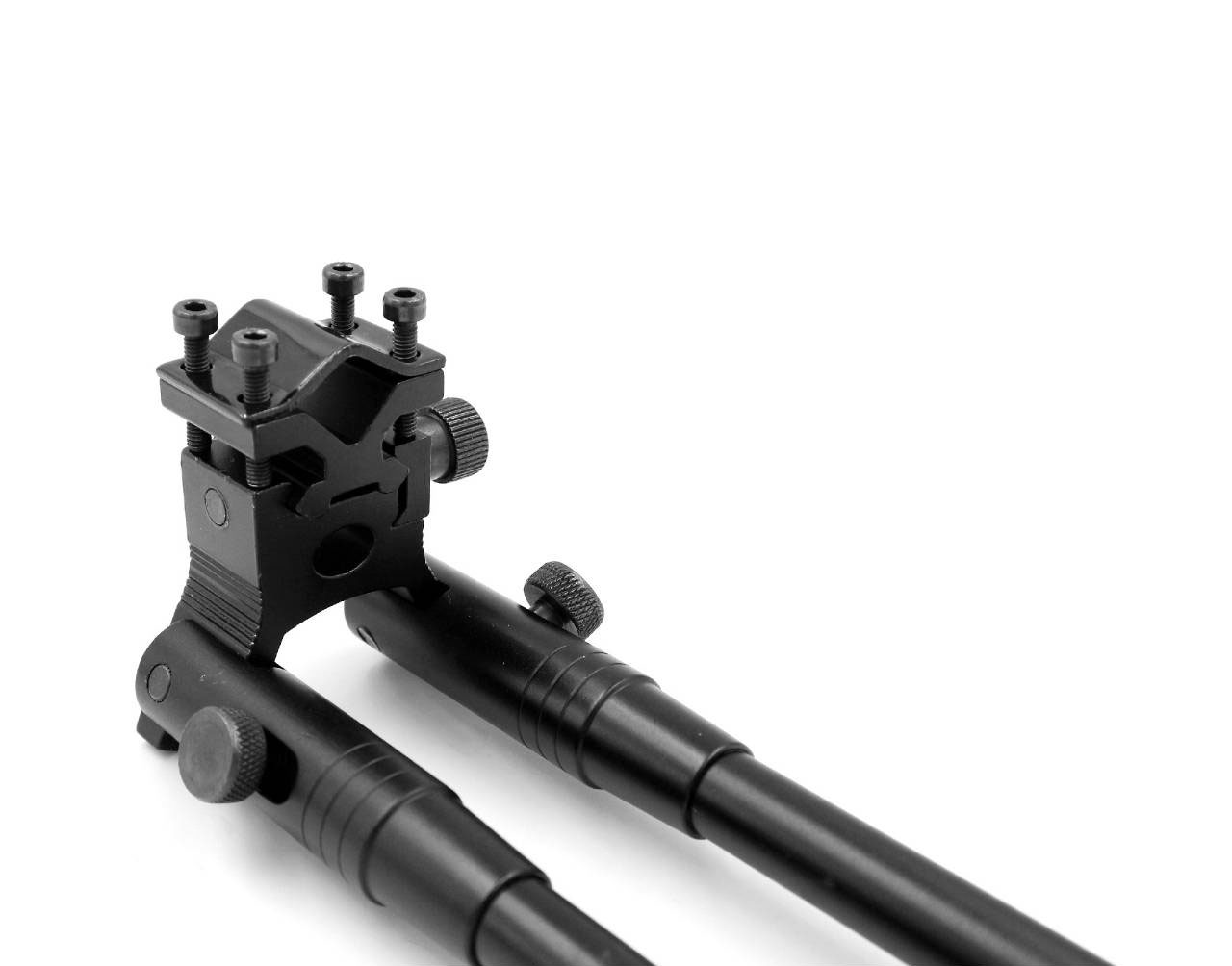 ขาทรายจับลำกล้อง