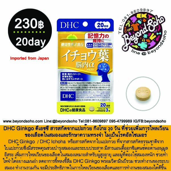 DHC Ginkgo ดีเอชซี สารสกัดจากแปะก๊วย กิงโกะ 20 วัน ที่ช่วยเพิ่มการไหลเวียนของเลือดในสมองและรักษาความทรงจำ ไม่เป็นโรคอัลไซเมอร์