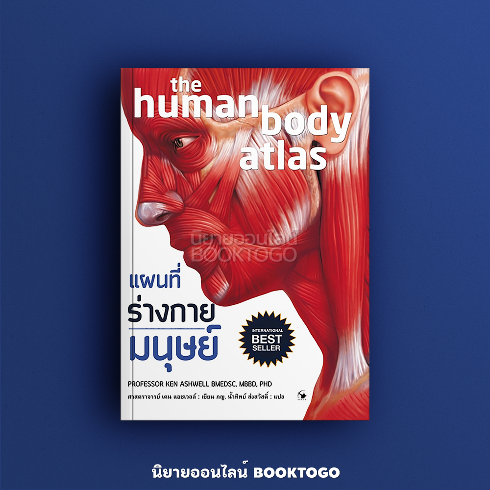 (พร้อมส่ง) แผนที่ร่างกายมนุษย์ (ปกอ่อน) เคน แอชเวลล์ แอร์โรว์ มัลติมีเดีย