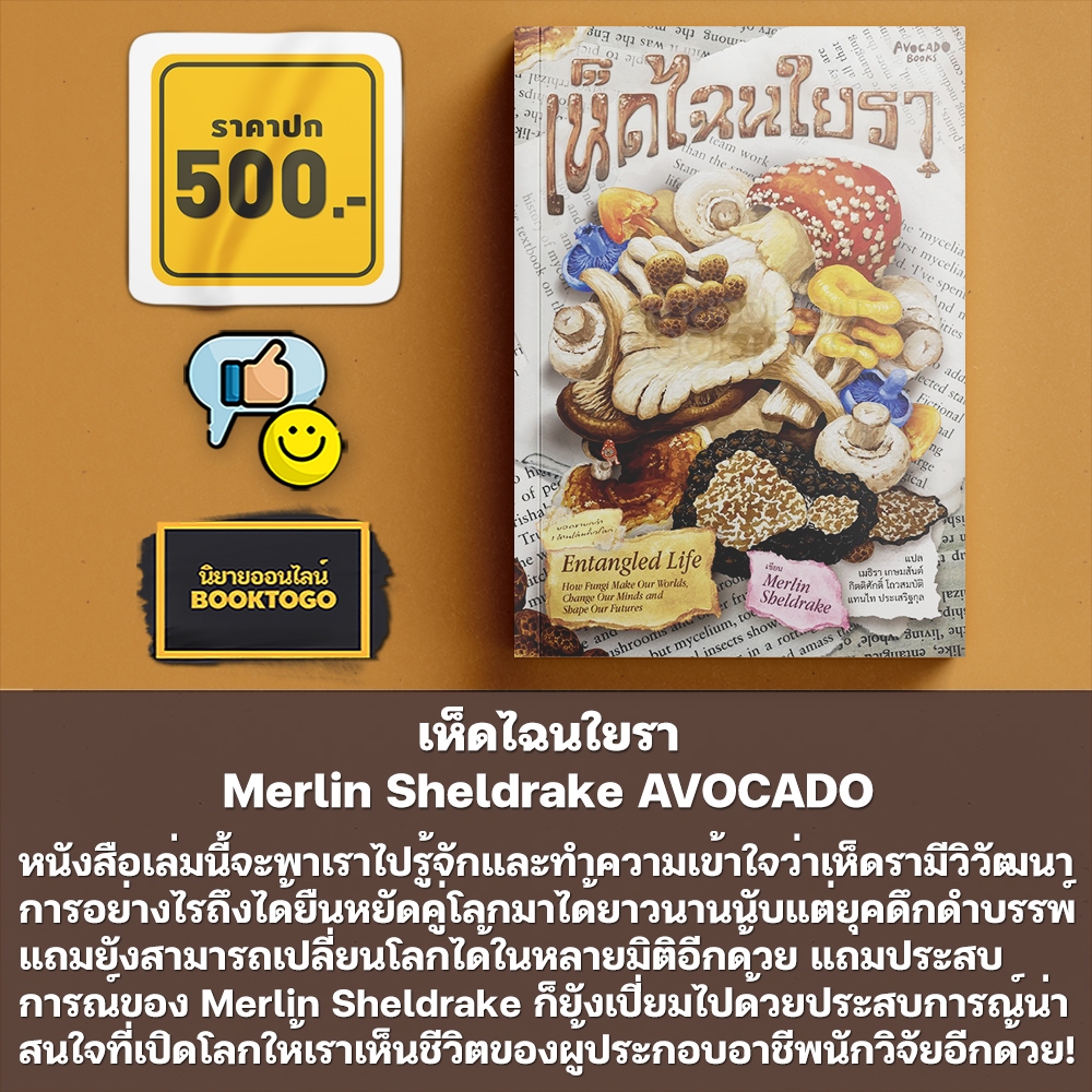 (เริ่มส่ง 5/12/68) เห็ดไฉนใยรา Merlin Sheldrake AVOCADO