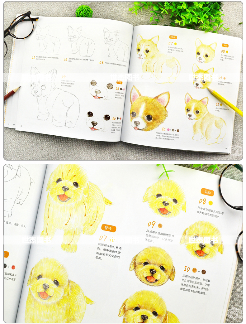 ไม่น่าเชื่อ! แม้แต่คุณเองก็วาดต้าวก้อนน่ารักขนาดนี้ได้ด้วยสีไม้ธรรมดาๆด้วยล่ะค่ะ!!