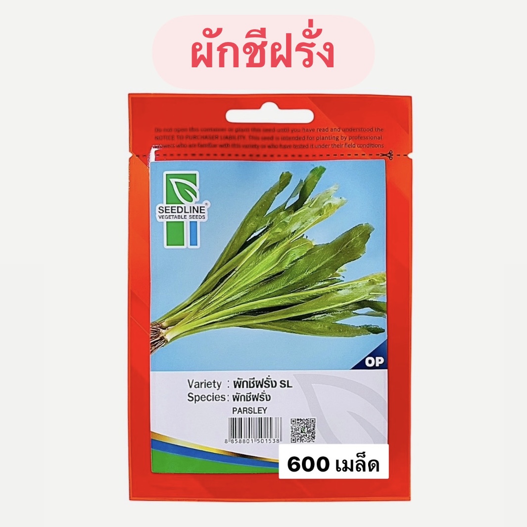 ผักชีฝรั่ง (600 เมล็ด)