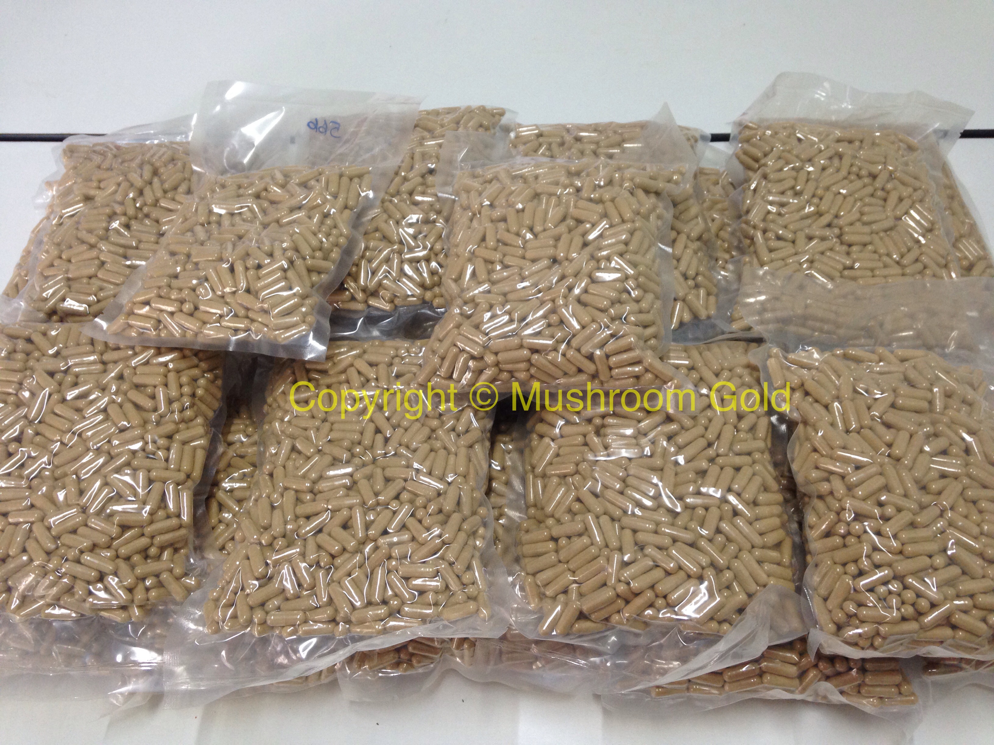 ถั่งเช่า 100% ขนาด 500มิลลิกรัม ถุงละ 1,000 แคปซูล. ซื้อ 1 แถม 1 (รวม2,000 แคปซูล)