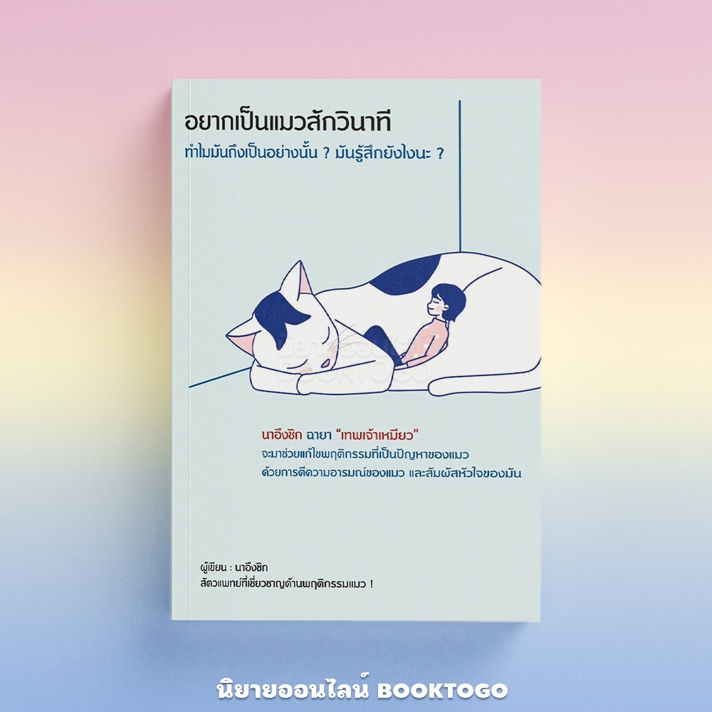 (พร้อมส่ง) อยากเป็นแมวสักวินาที นาอึงชิก วารา WARA