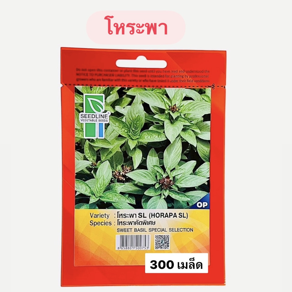 โหระพา คัดพิเศษ (300 เมล็ด)