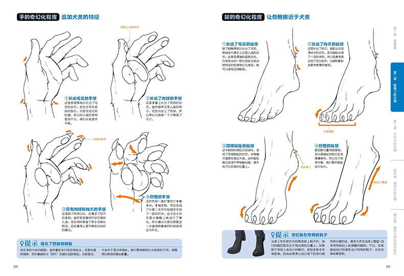 สอนวาดเคโมะKemono เล่ม1
