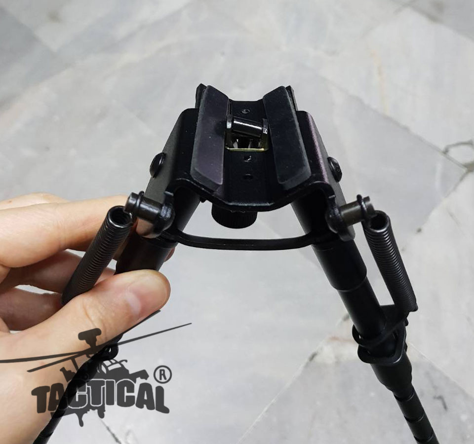 ขาทรายสปริง