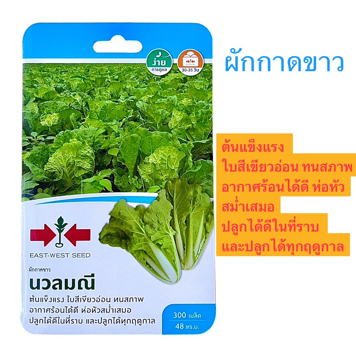 ศรแดง ผักกาดขาว นวลมณี (300 เมล็ด)