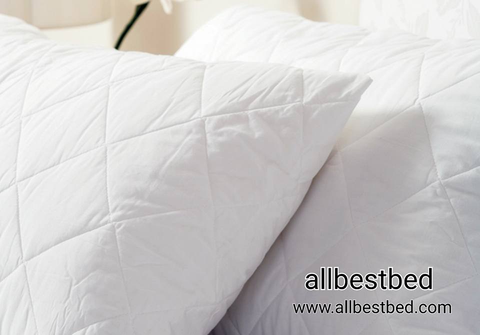 ปลอกหมอนกันเปื้อน Pillow Protector