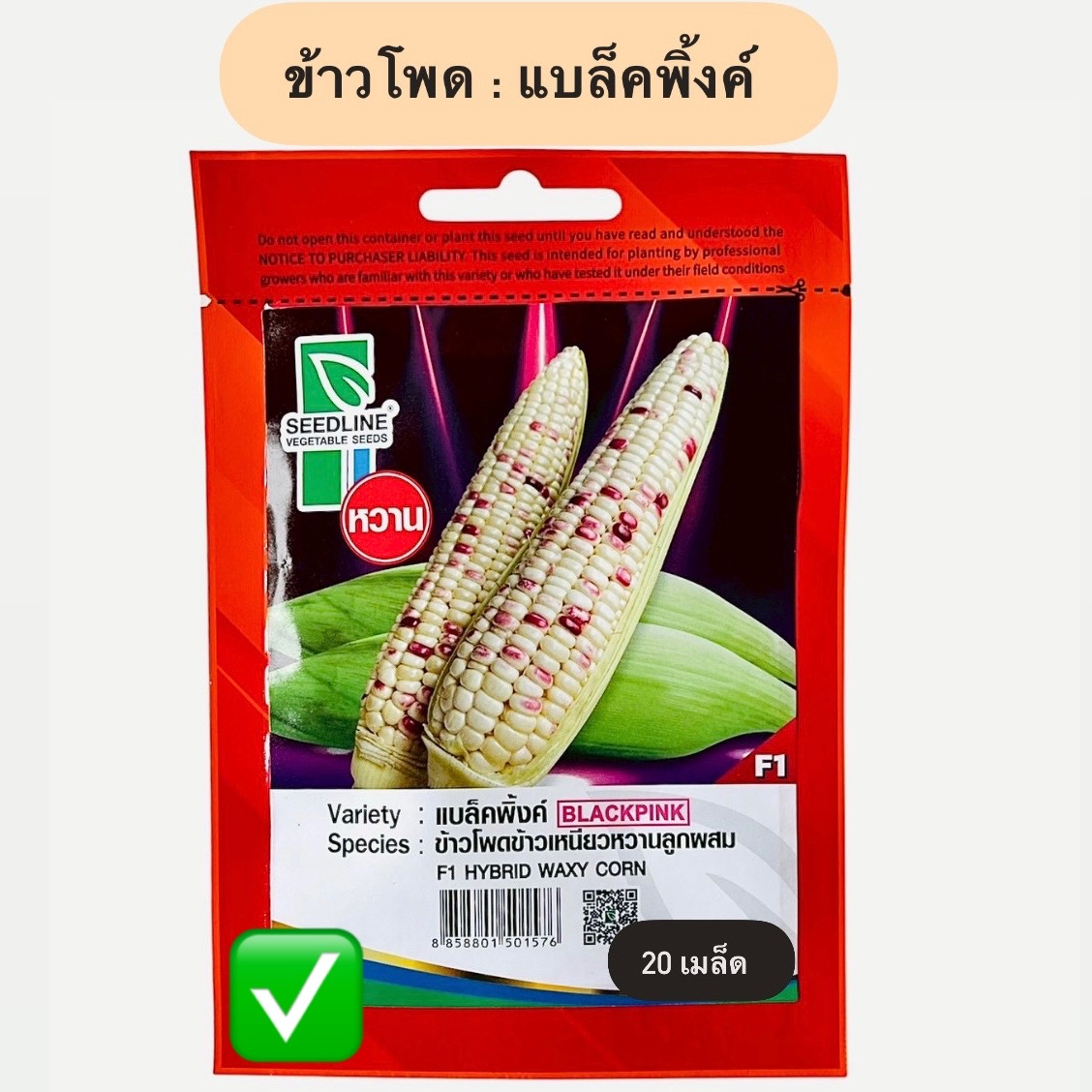 ข้าวโพด แบล็คพิ้งค์ (20 เมล็ด)