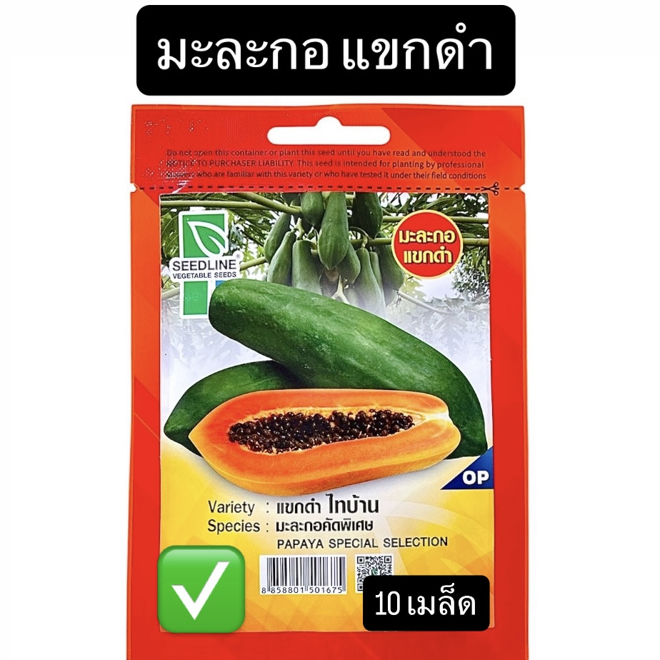 มะละกอ แขกดำ ไทบ้าน (10 เมล็ด)