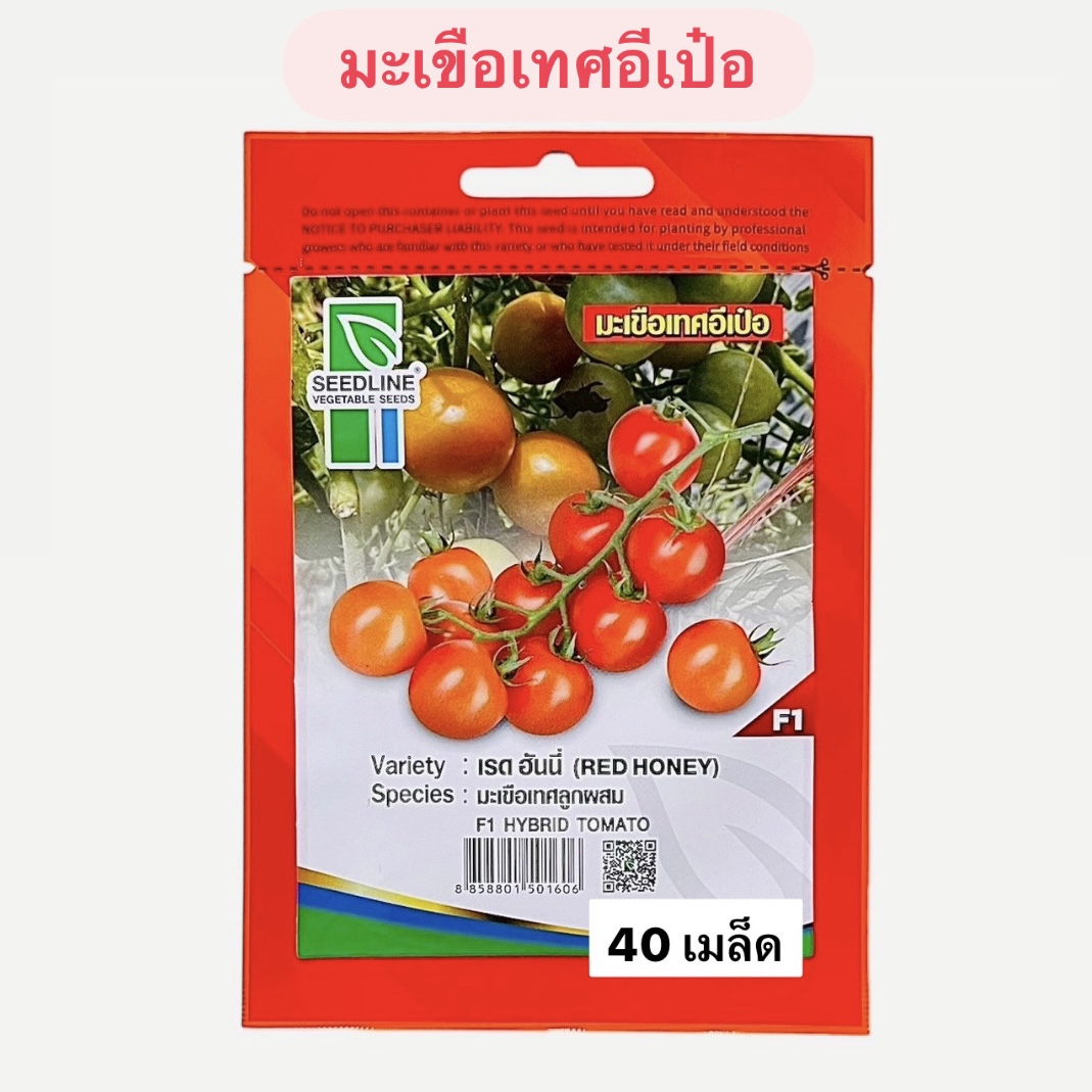 มะเขือเทศอีเป๋อ (40 เมล็ด)