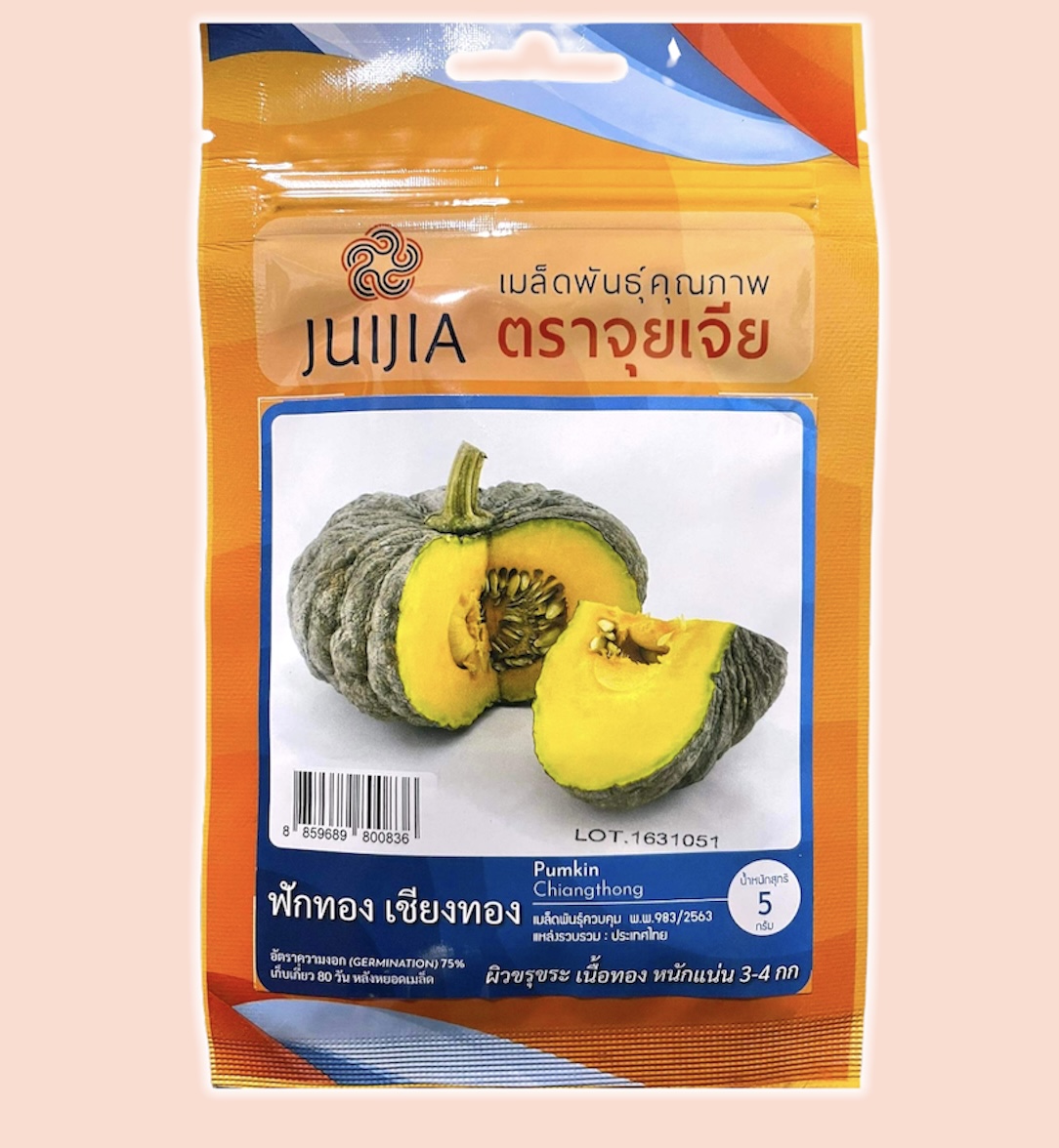 ฟักทอง เชียงทอง ประมาณ 30เมล็ด