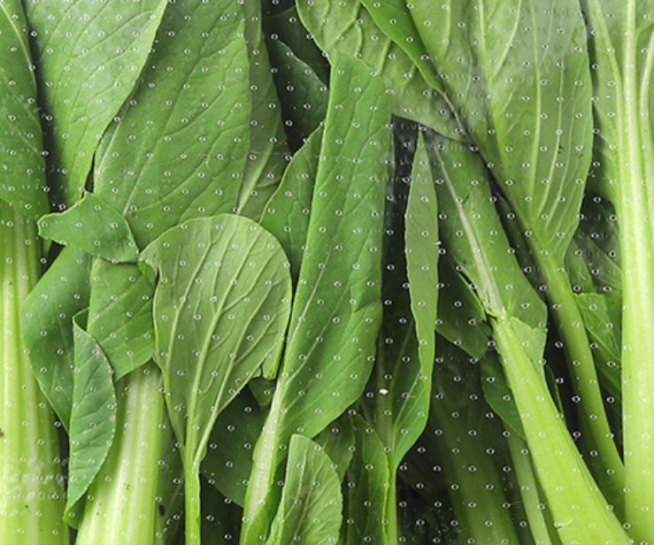 ถุงใส่ผัก-เบเกอรี่ แบบหายใจได้ (Breathable) ช่วยรักษาความสดใหม่ให้ถึงที่สุด