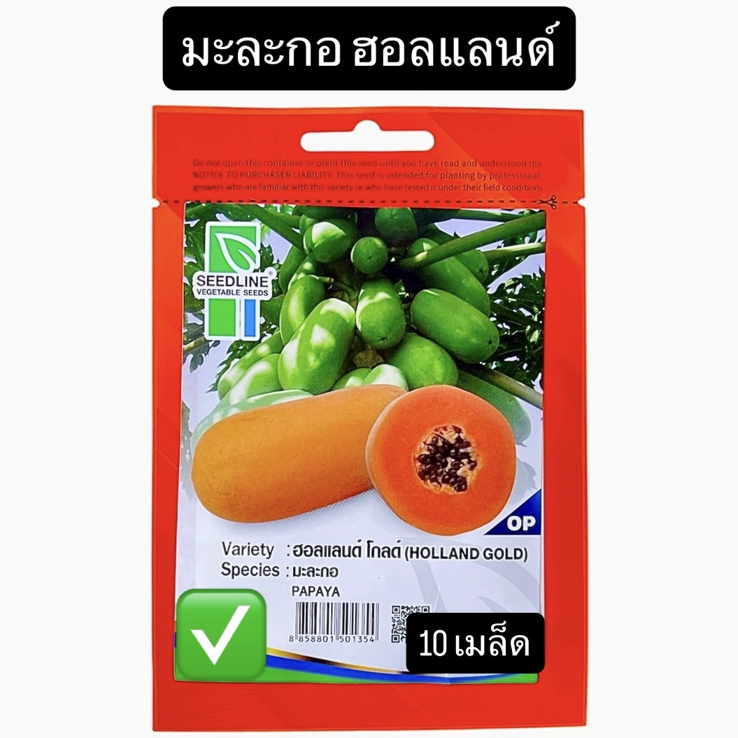 มะละกอ ฮอลแลนด์ โกลด์ (10 เมล็ด)