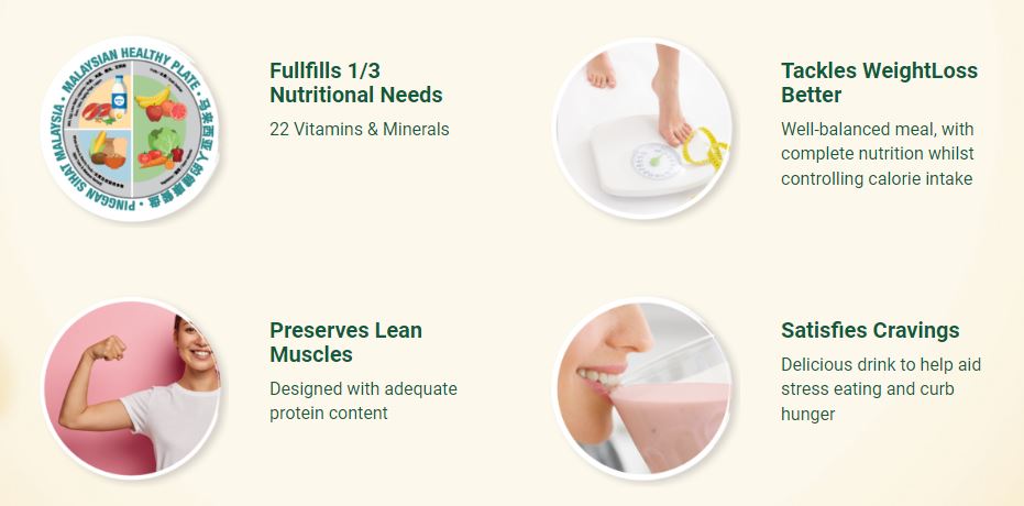 BodyKey by Nutrilite Meal Replacement Shake (Berry) บอดี้คีย์ รสเบอร์รี่ อาหารเสริมลดน้ำหนัก ด้วยวิธีทดแทนมื้ออาหาร