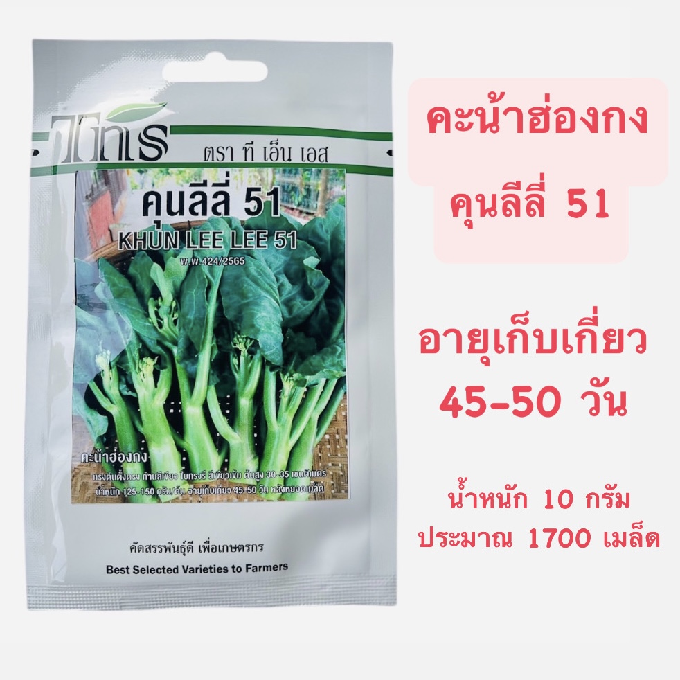 คะน้าฮ่องกง คุนลิลี่ (1700 เมล็ด)