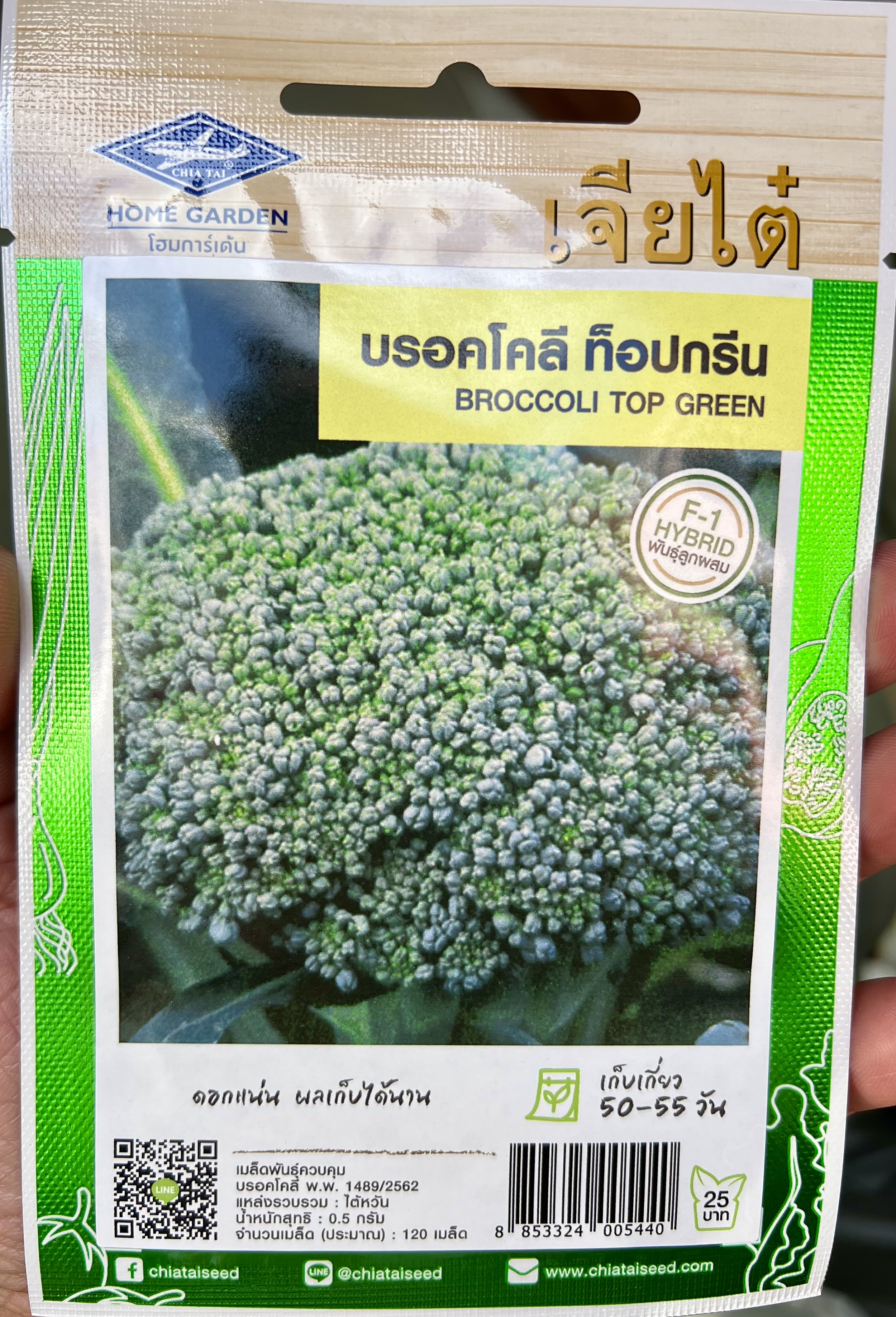 บร็อคโคลี่ (บรอกโคลี) Broccoli ดอกใหญ่