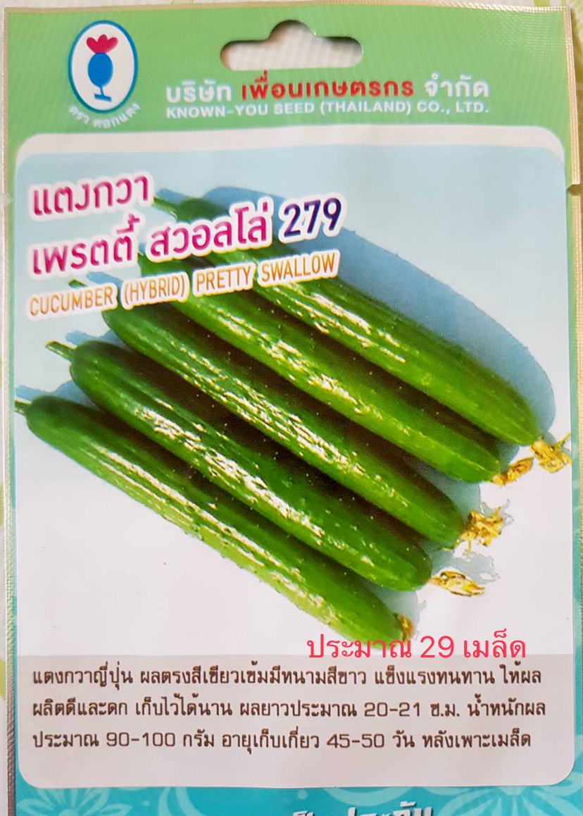 แตงกวาญี่ปุ่น เพรตตี้ 29 เมล็ด