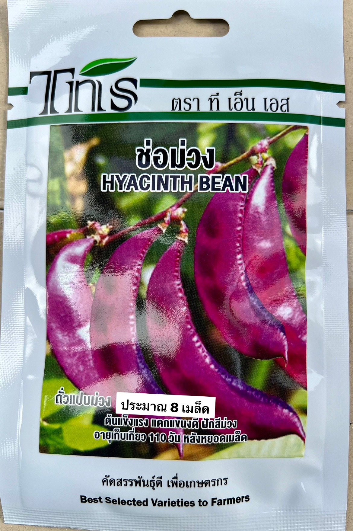 ถั่วแปบ ม่วง (8 เมล็ด)