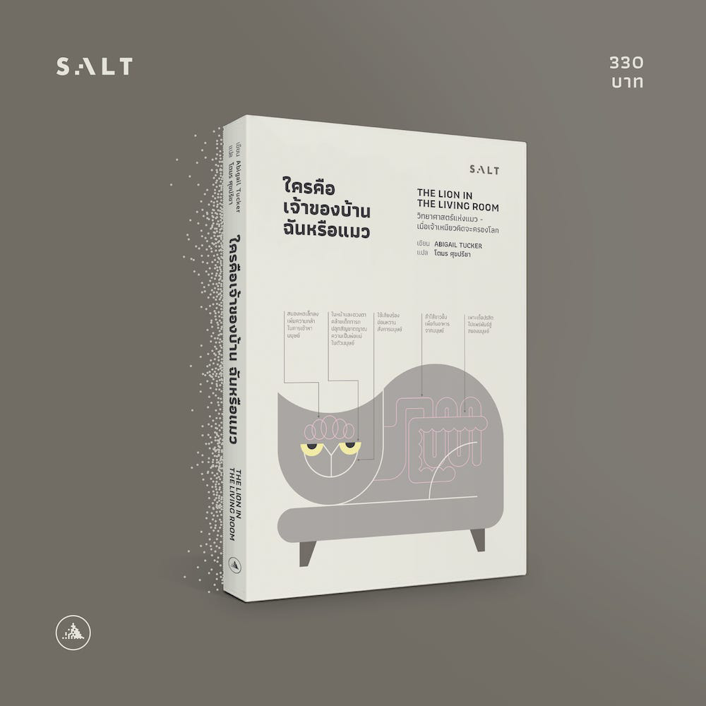 (พร้อมส่ง) ใครคือเจ้าของบ้าน ฉันหรือแมว Abigail Tucker SALT