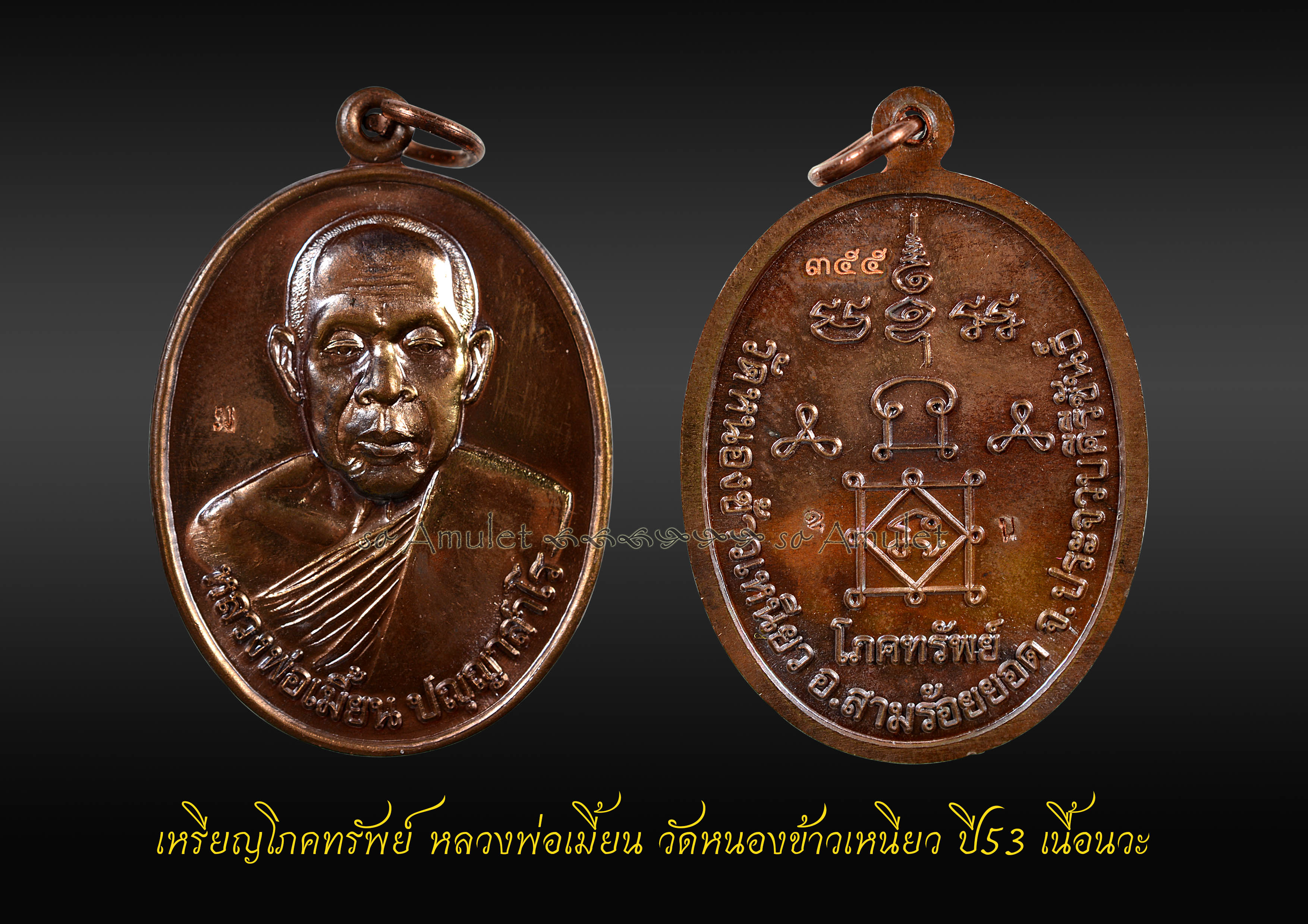 เหรียญโภคทรัพย์ หลวงพ่อเมี้ยน วัดหนองข้าวเหนียว ปี2553 เนื้อนวะ