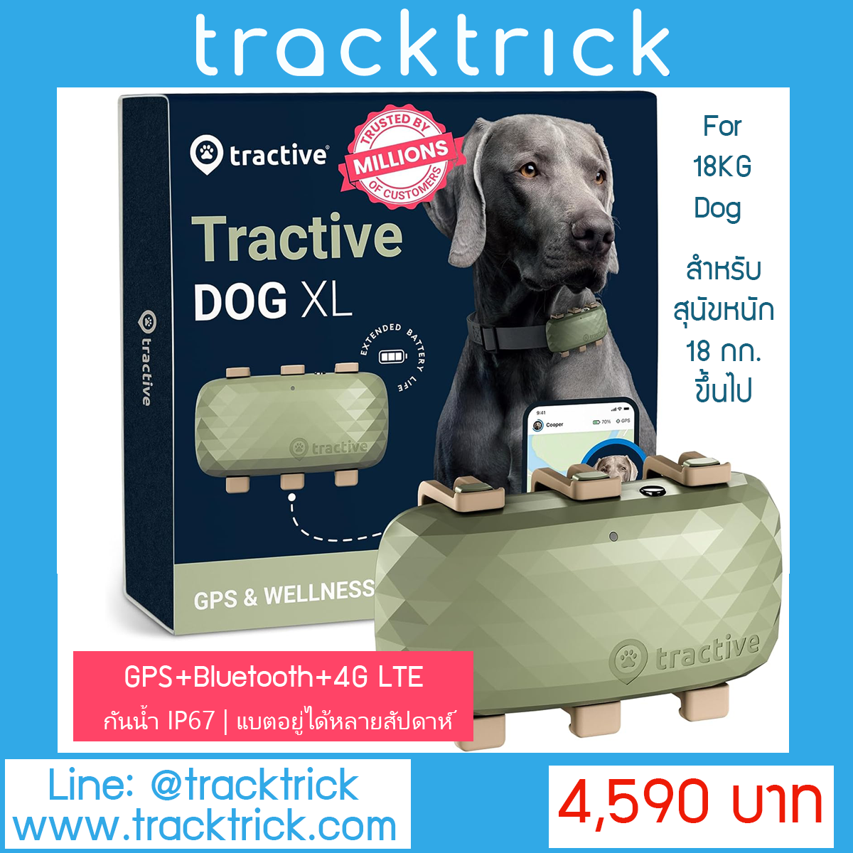 Tractive GPS Dog XL