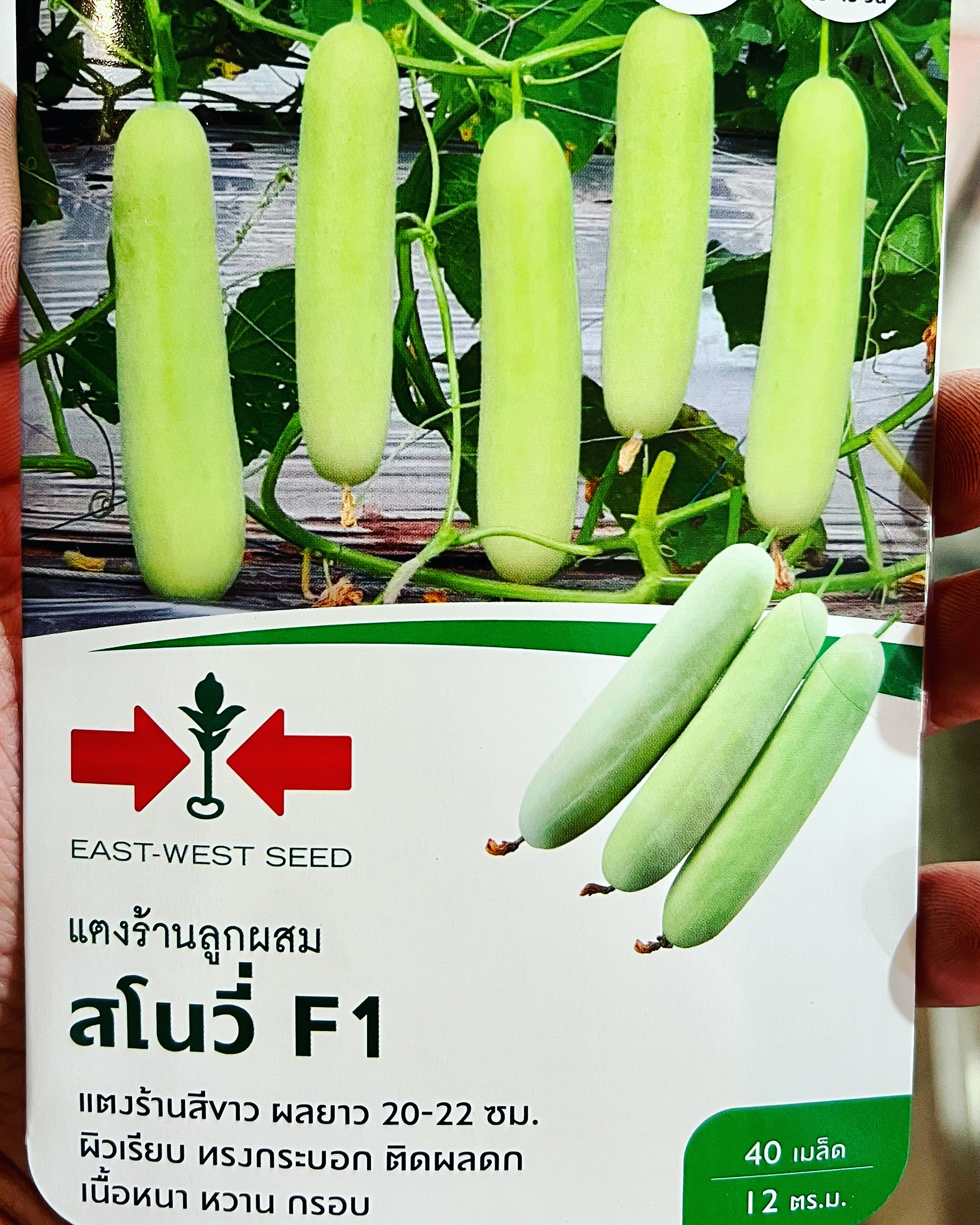 แตงร้าน ลูกขาว สโนวี่ ตราศรแดง 40 เมล็ด