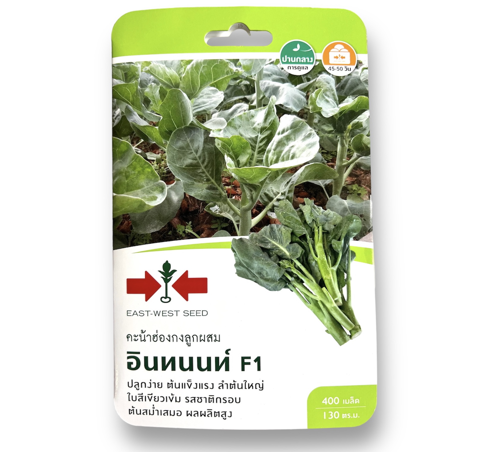 ศรแดง คะน้าฮ่องกง อินทนนท์ (400 เมล็ด)