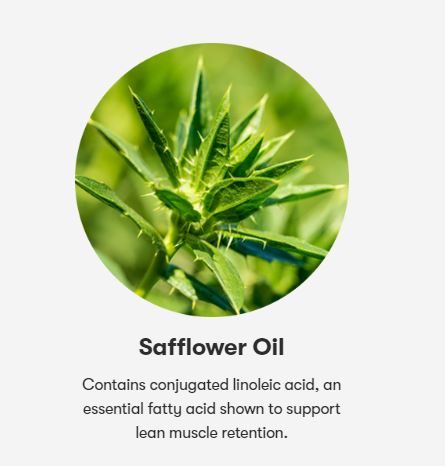 NUTRILITE Lean Muscle (CLA500) ช่วยลดน้ำหนักอย่างปลอดภัย ไม่โยโย้ เร่งการเผาผลาญไขมัน ผลิตจากดอกคำฝอย 100% Amway USA