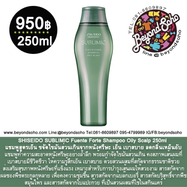 SHISEIDO SUBLIMIC Fuente Forte Shampoo Oily Scalp 250ml แชมพูขจัดไขมันส่วนเกินจากหนังศรีษะ สูตรเย็น เบาสบาย ลดกลิ่นเหม็นอับ