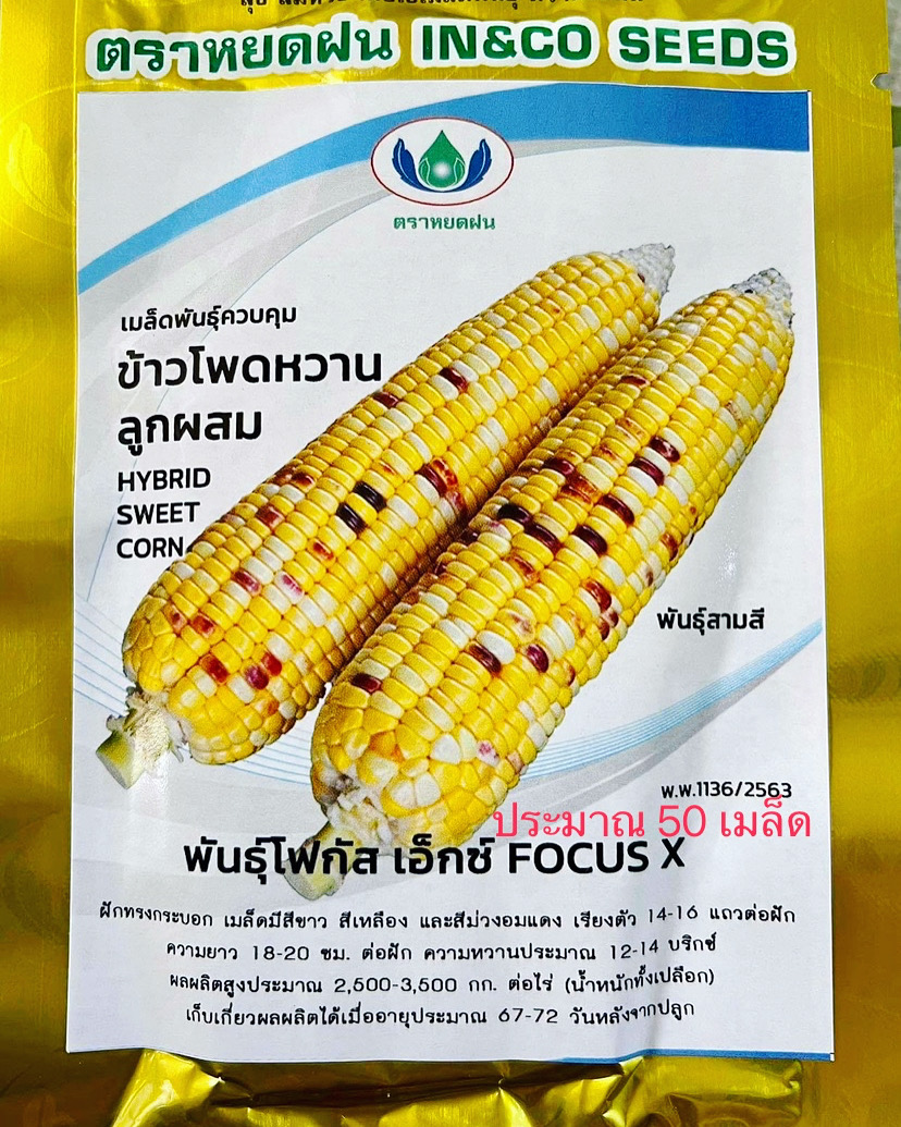 ข้าวโพดหวาน 3 สี 50 เมล็ด