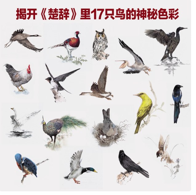 แพ็กชุด วาดสีน้ำปักษา และบุปผา