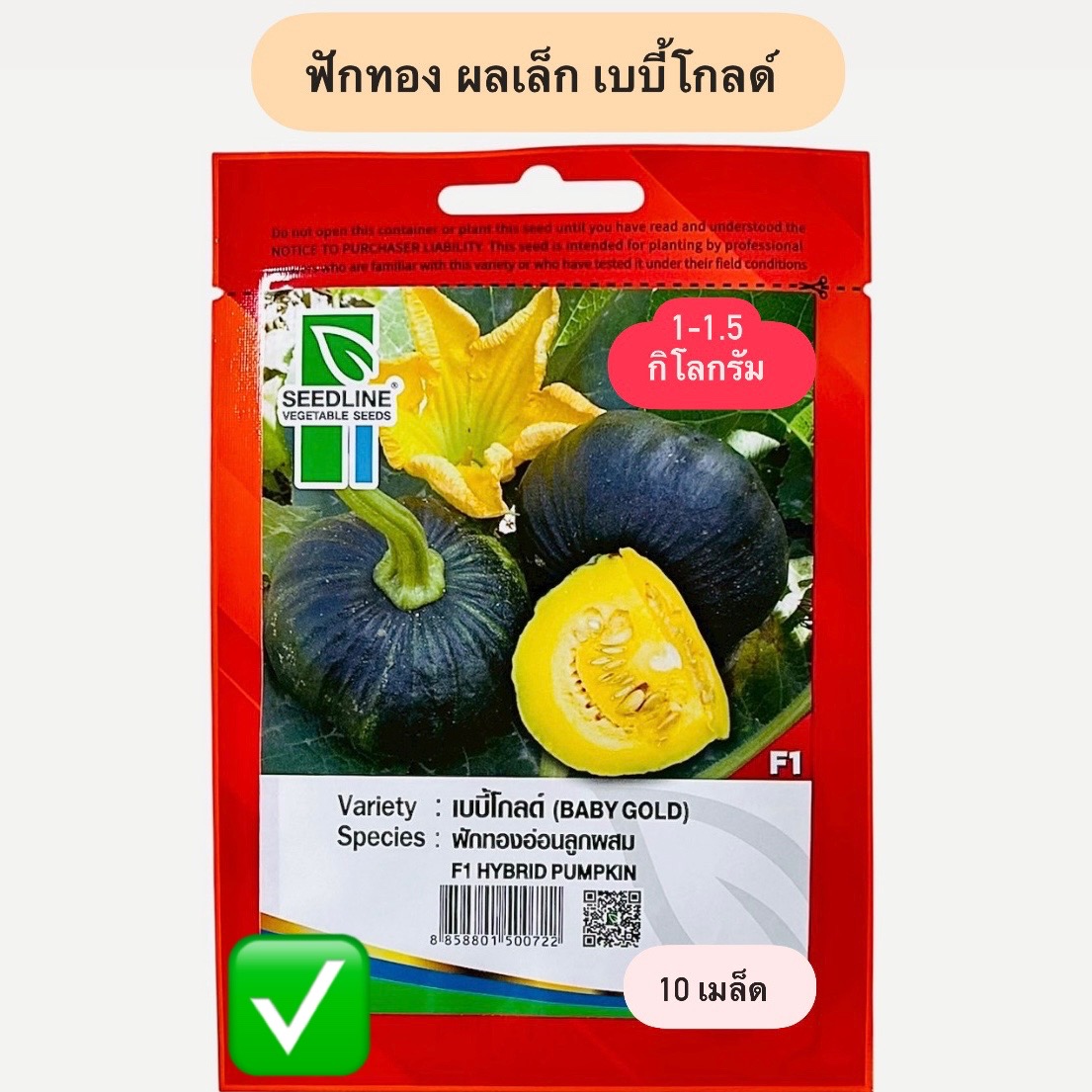 ฟักทอง ผลเล็ก เบบี้โกลด์ (10 เมล็ด)