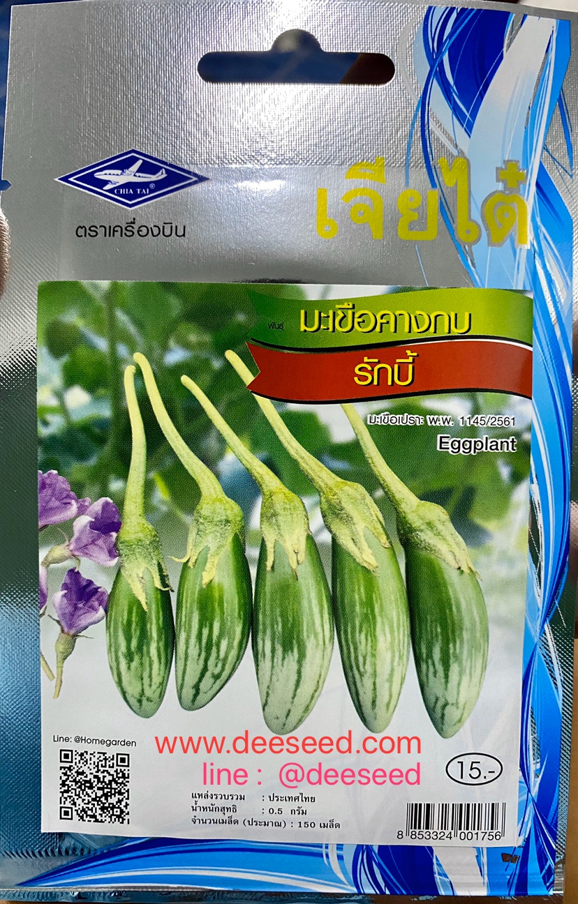 มะเขือ มะเขือรักบี้ ประมาณ 500 เมล็ด